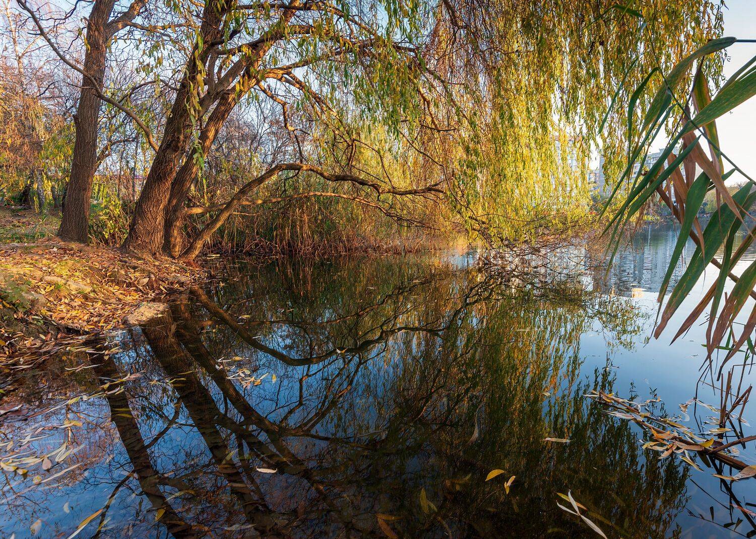 , Алексей Рыльский