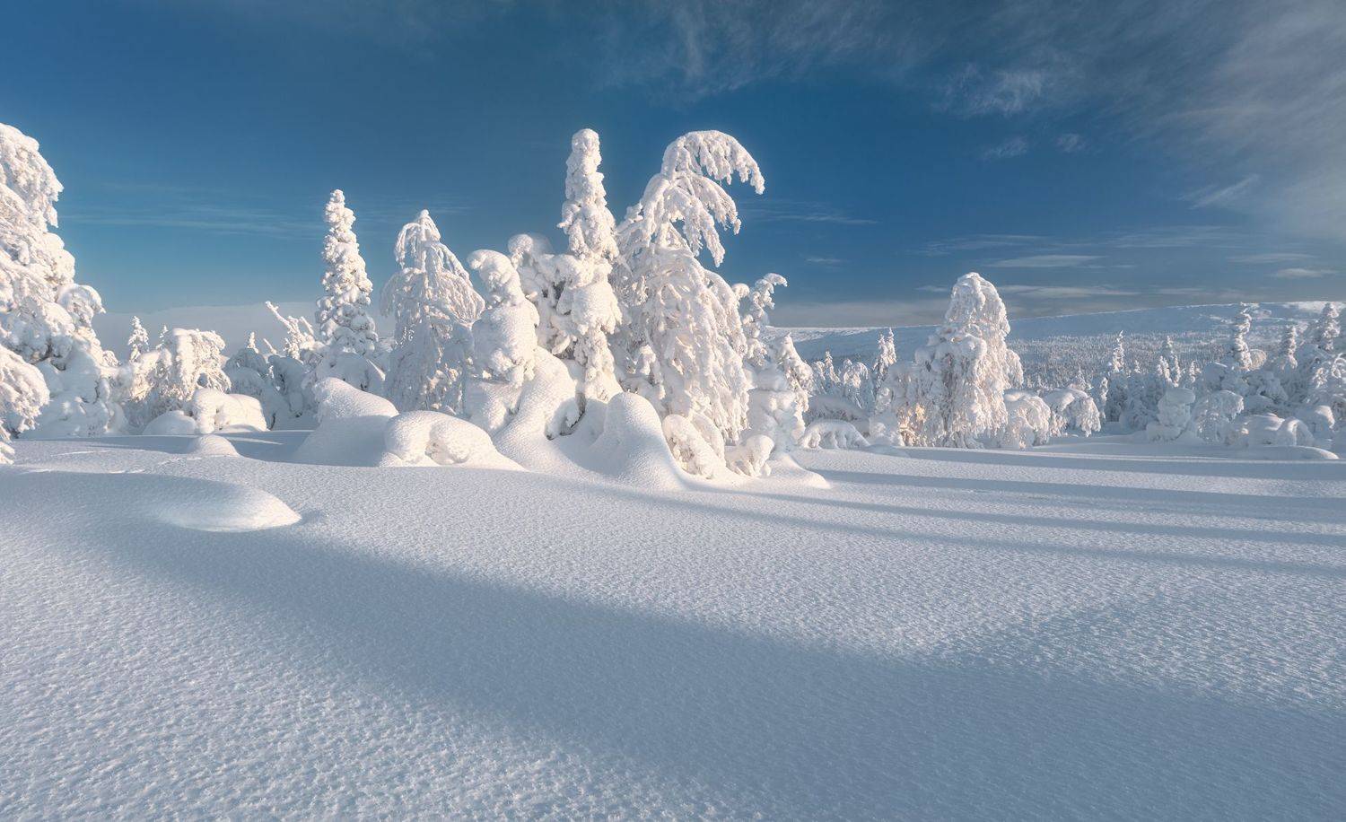гух, Валерий Щербина (sv-phototravel.com)