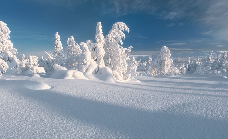 гух …под голубыми небесами, великолепными коврами… фото превью