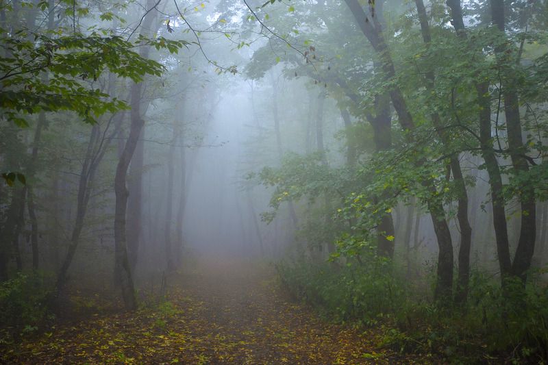 Осенние туманы на Машуке фото превью