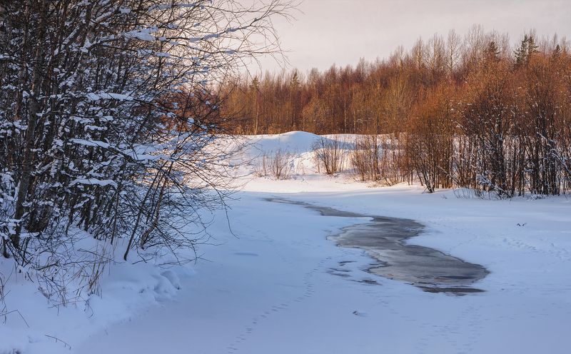 Зима за городом фото превью