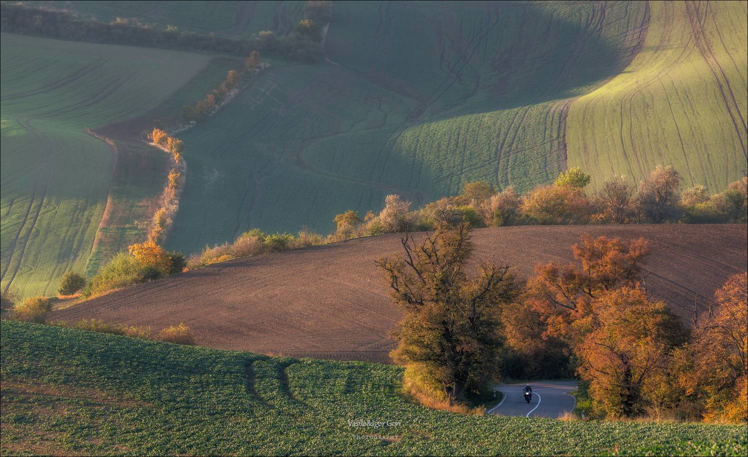 south moravian,пейзаж,линии,южная моравия,lines,свет,czech,осень,чехия,landscapes,байкер, Гори Василий