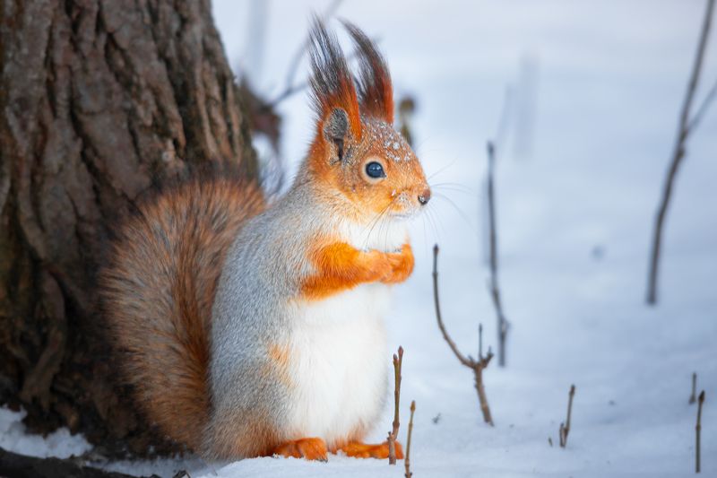 Холодает?❄❄❄ фото превью