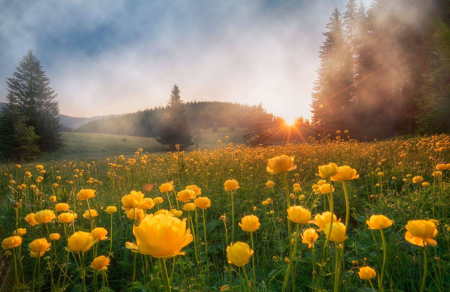 , Mariyana Atanasova - Lucero