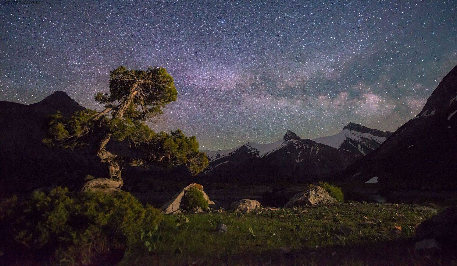 памир фанские, Кутыгин Эдуард
