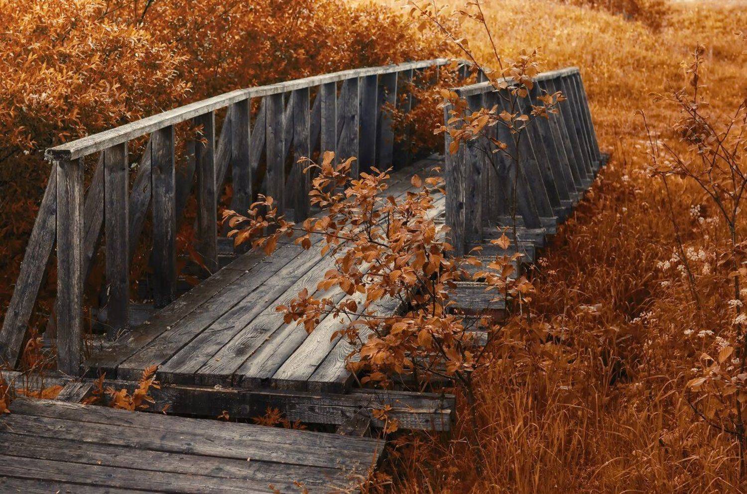 , Сергей Клапишевский