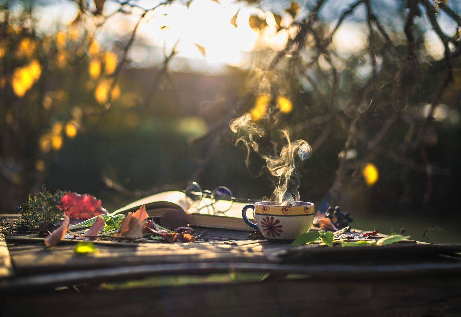 , Сигидова Ирина