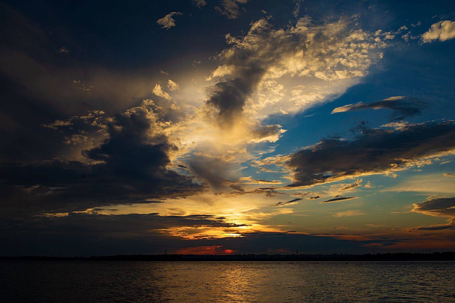 , Дзюба Нелли