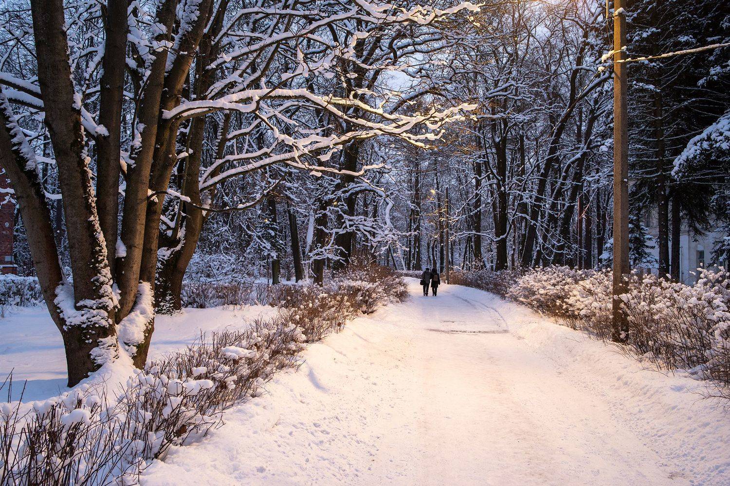 зима парк вечер, Игорь Лазарев
