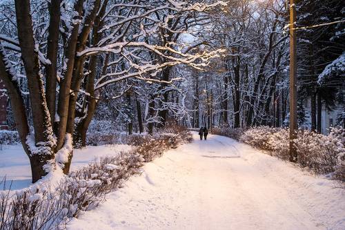 Зима в Петербурге