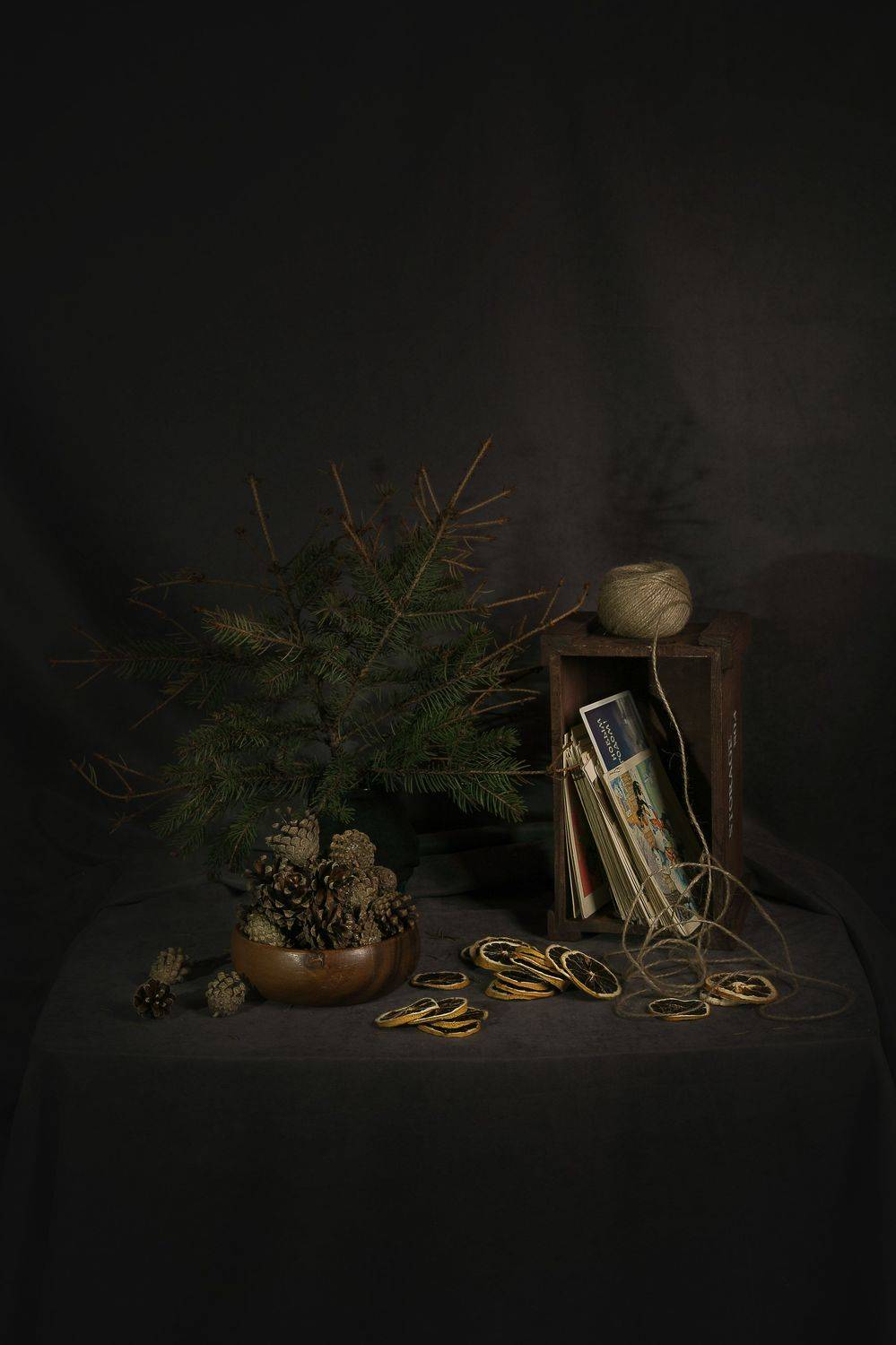 , Анастасия Фатеева