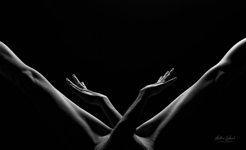 wings,nud,nudeart,legs,body,bodyart,lowkey,woman,model,body,nudes, hands WINGS фото превью