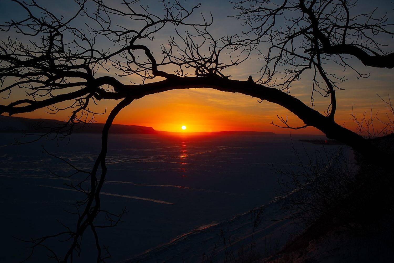 , Дзюба Нелли