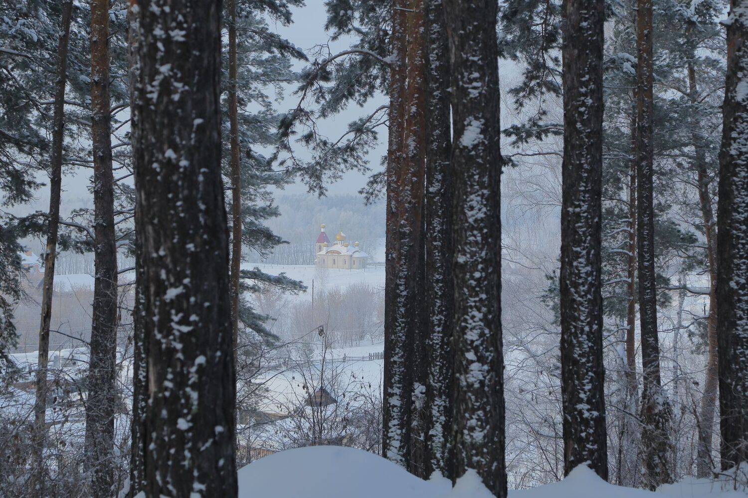 , Евгений Зинов