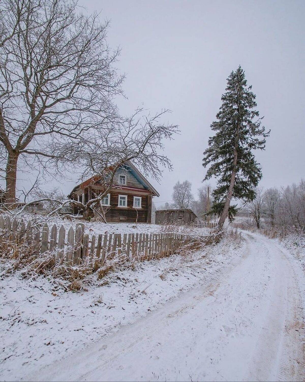 , Петр Косых