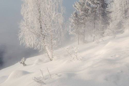 Зимняя нежность