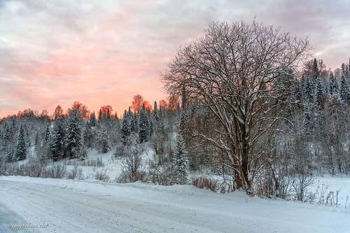 Горная Шория, вечереет…
