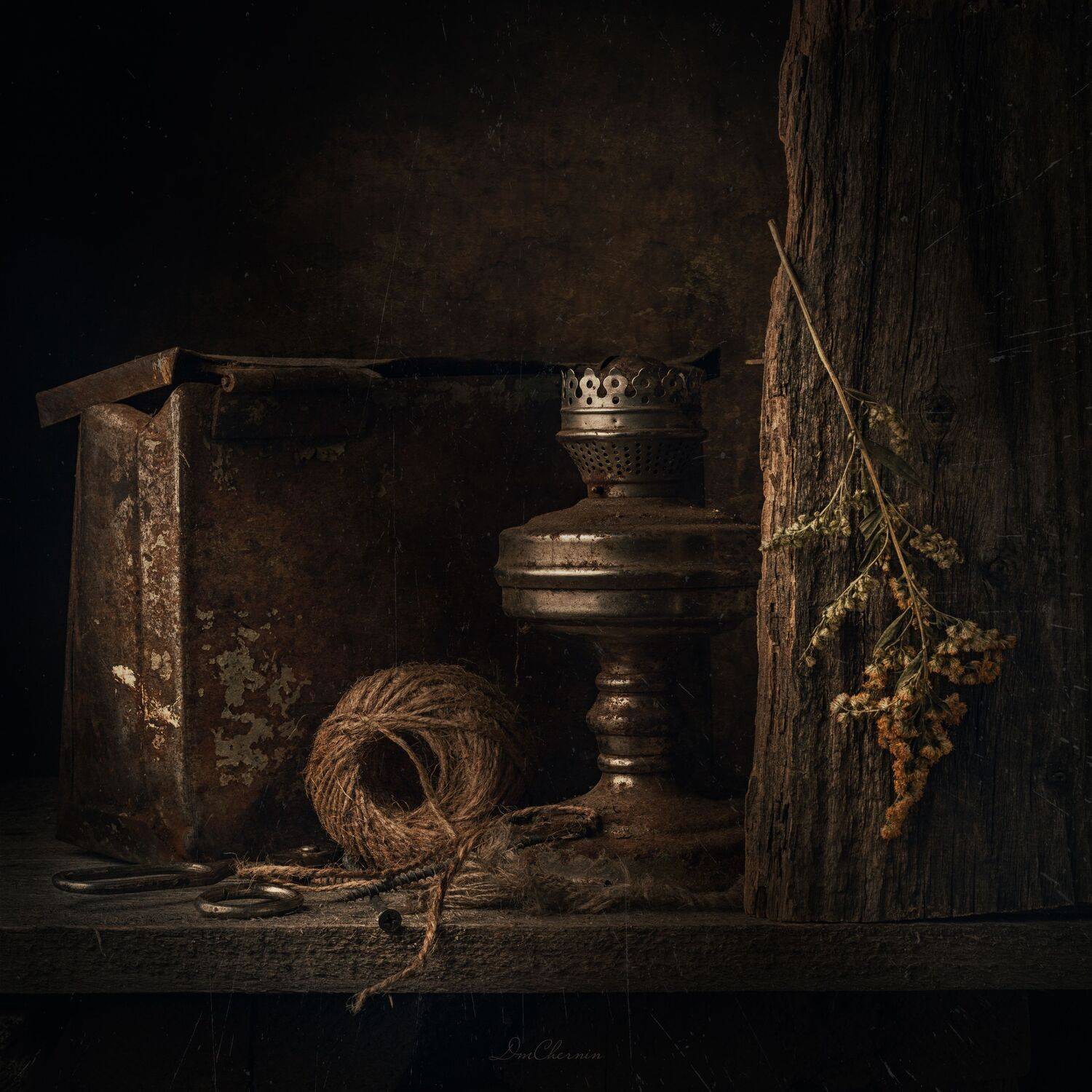 , Дмитрий Чернин