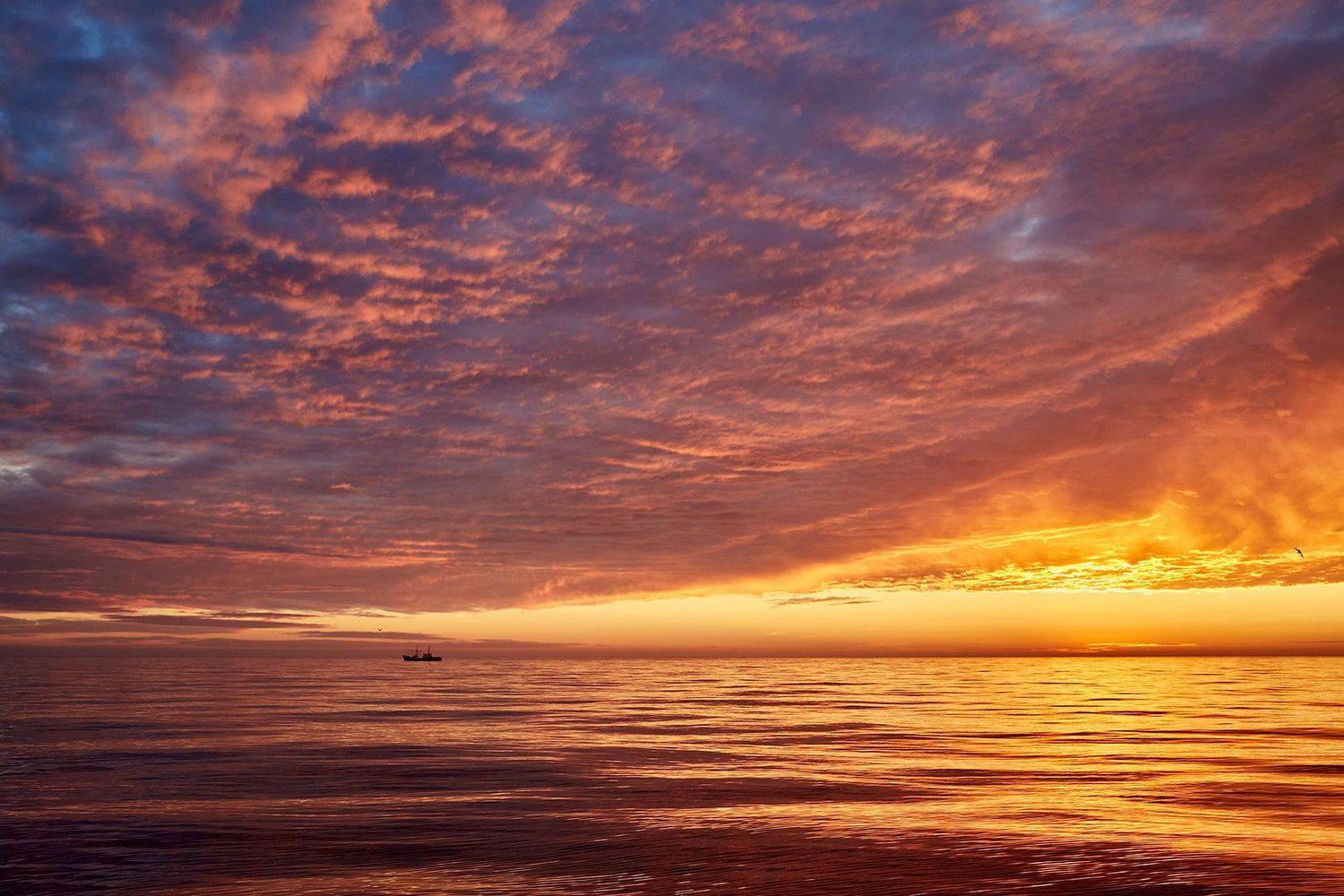 вечер, волны, закат, лето, охотское море, судно, Евгений Паршуков