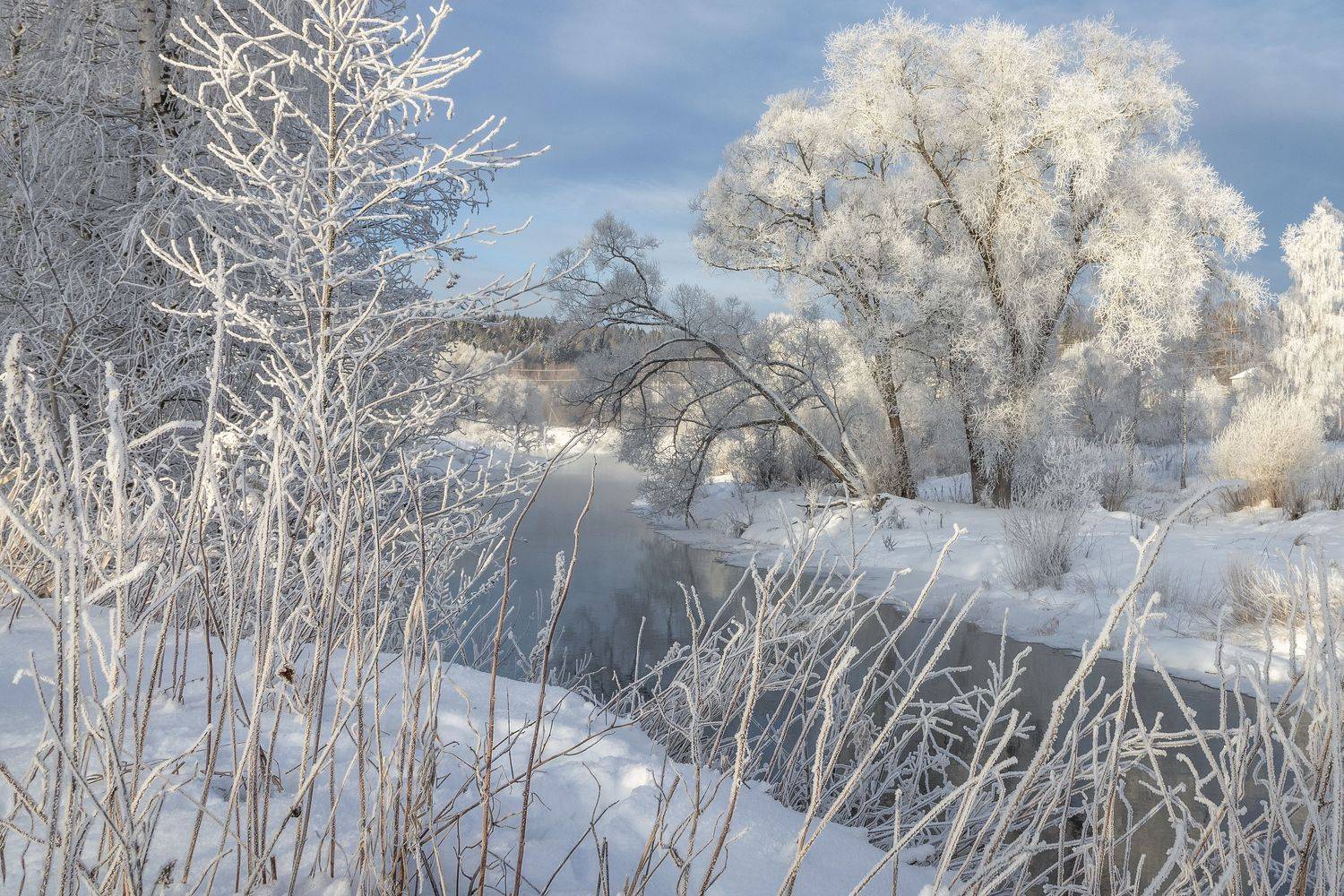 Истра, Гусева Елена