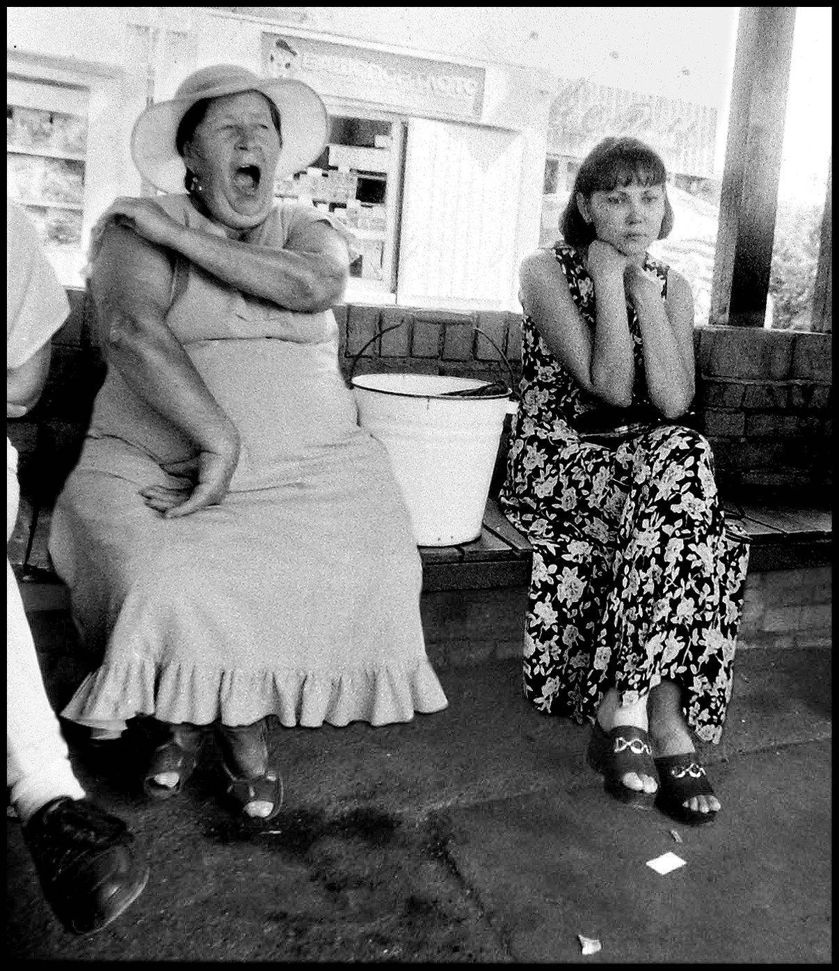 , Меднов Влад