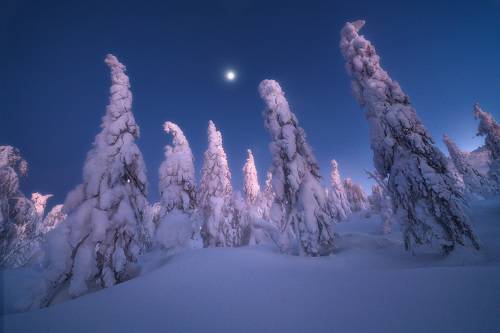 На склонах Колчима