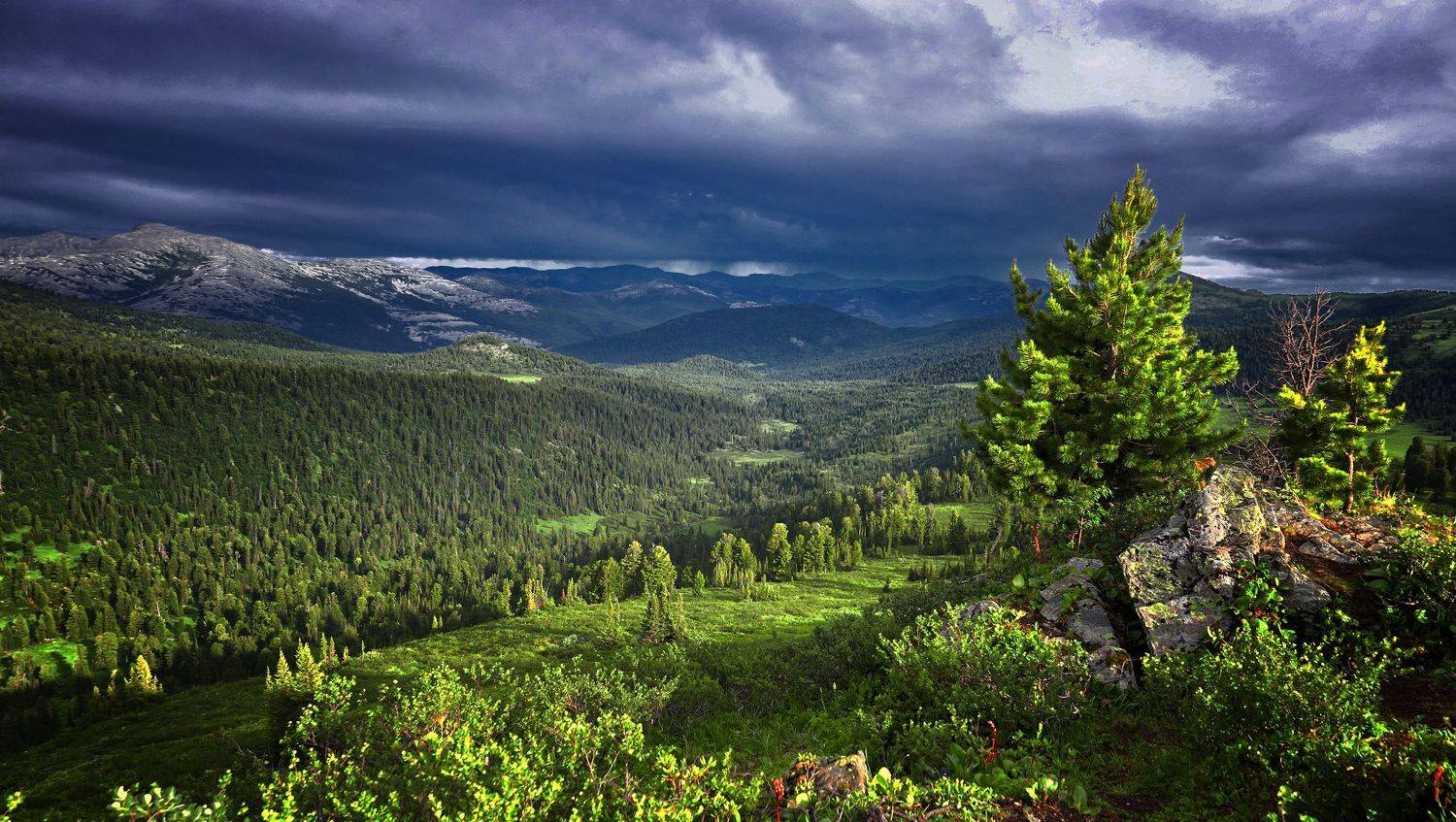 , Павел Мартюшев