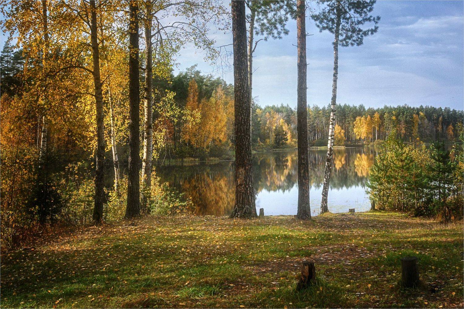 озеро берёзы листья, Вера Петри