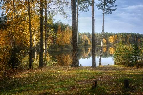 Немного солнца в холодной воде