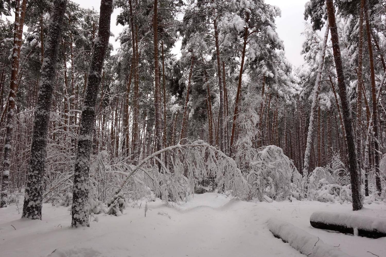 , Андрей Балабин