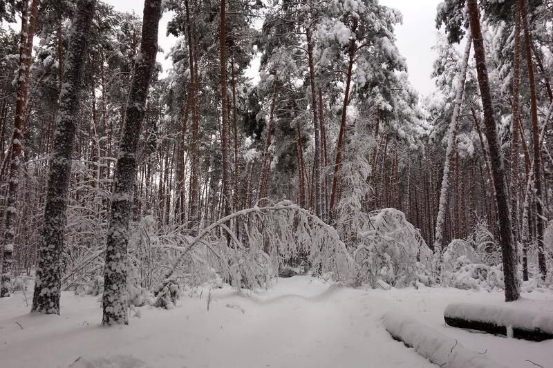 В поклоне... фото превью