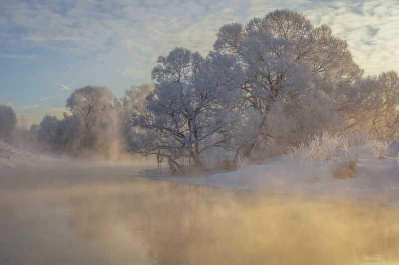 Солнечное утро фото превью