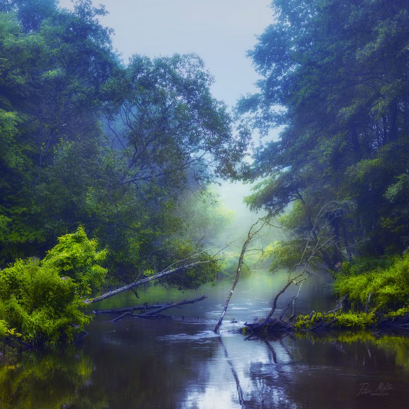 Сон в сине-зеленых тонах фото превью