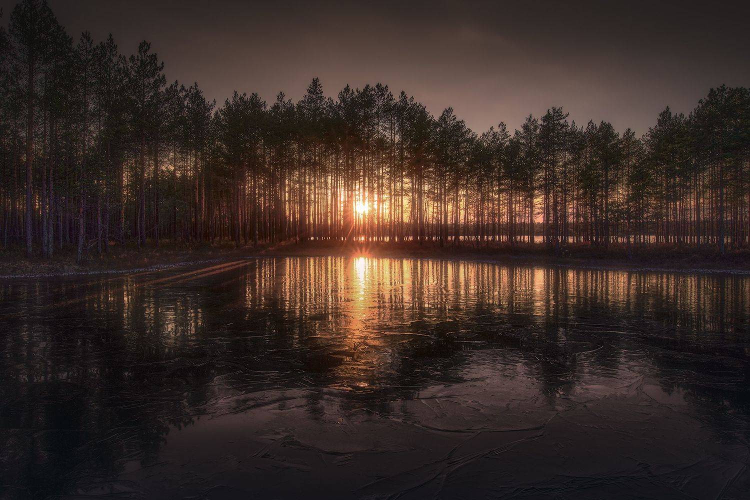 , Кононов Антон