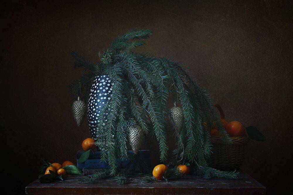 ..., Курочкина Диана