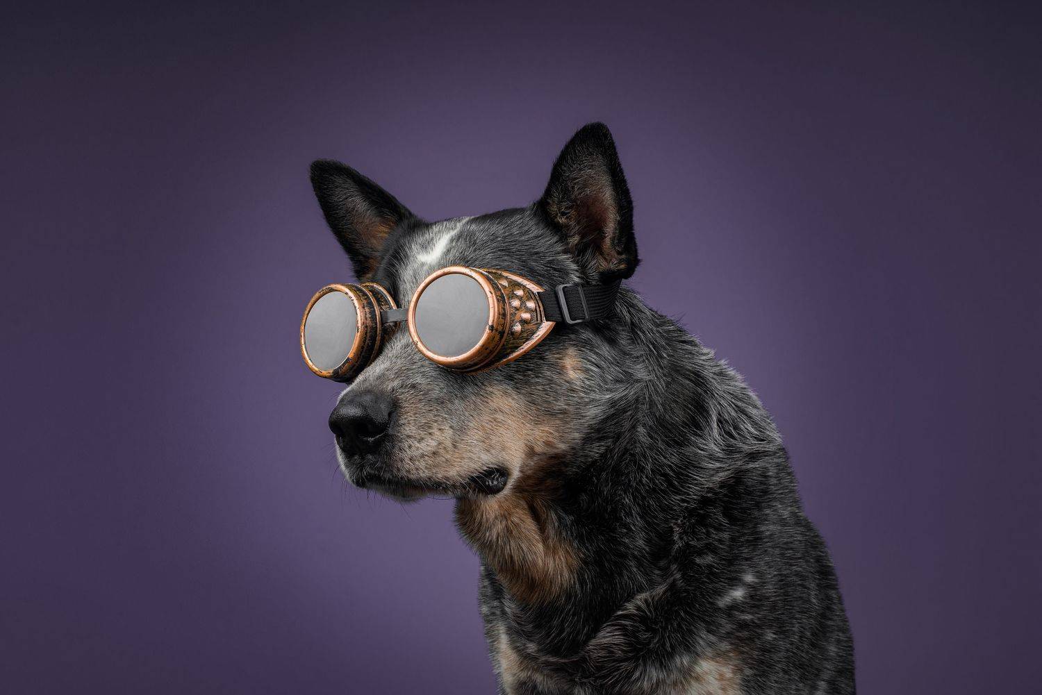 , Юлия Гончар