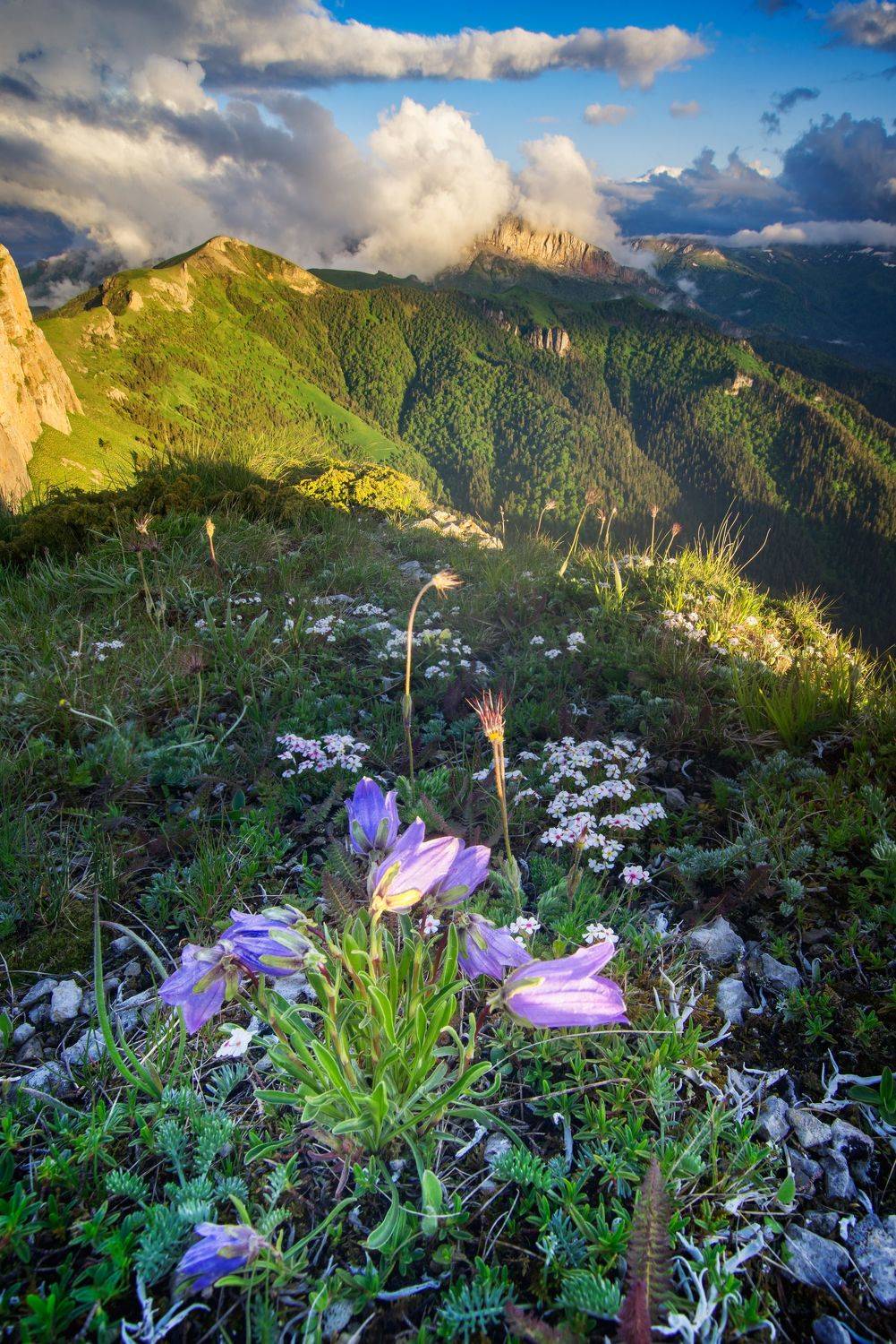 , Перевозчиков Андрей
