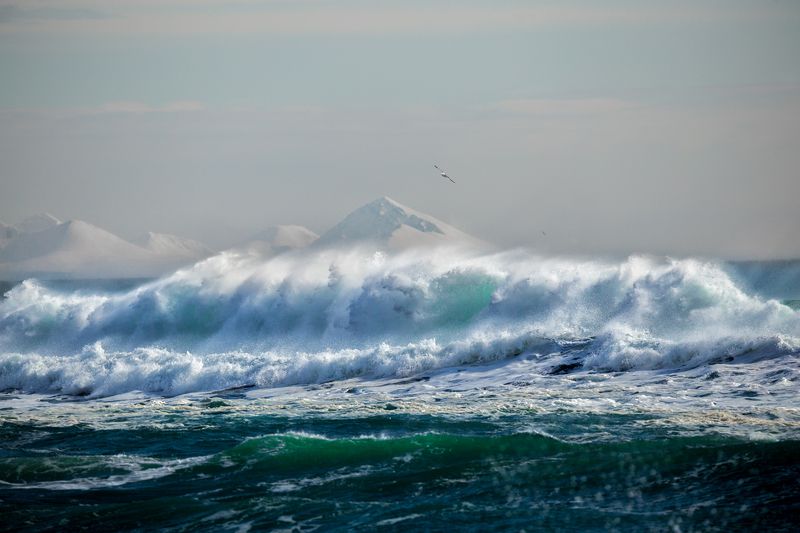 Тихий океан фото превью