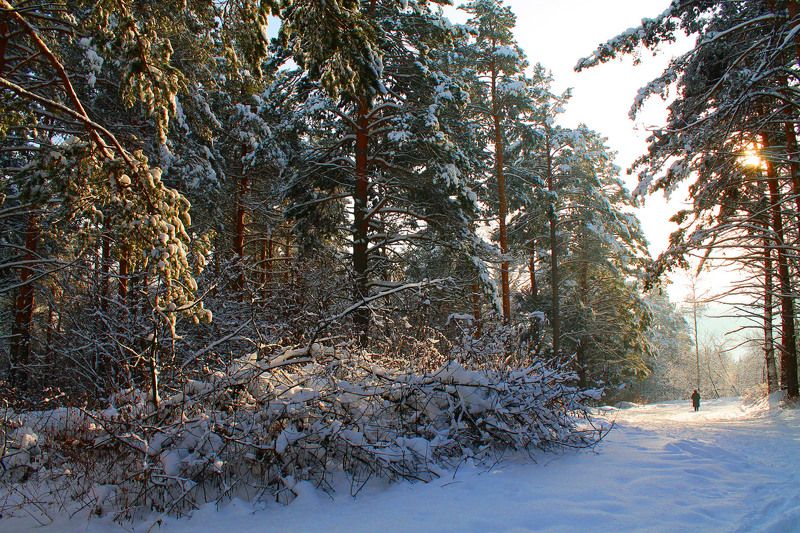 зима, январь, сибирь, россия ... фото превью
