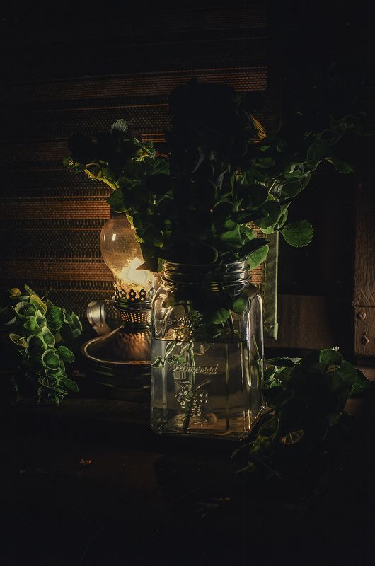 ИРЛАНДСКИЙ колокольчик фото превью