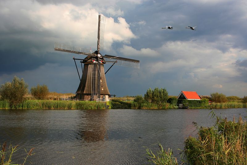 Голландская идиллия фото превью