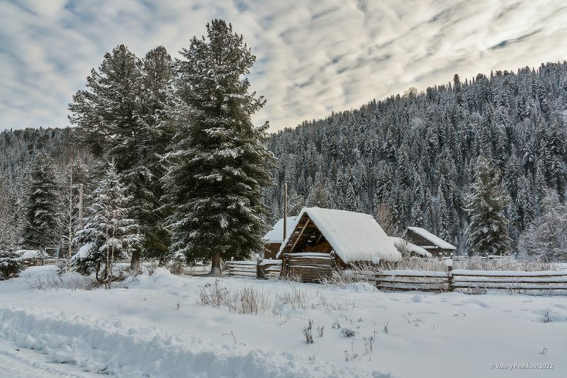 зима, снег, пихты, кедры, усть-кабырза, мрассу, кабырза, горная шория Горная Шория, деревенское… фото превью