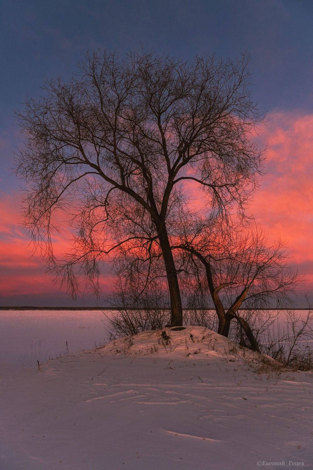 россия, урал, пейзаж, закат, дерево, Евгений Гецев