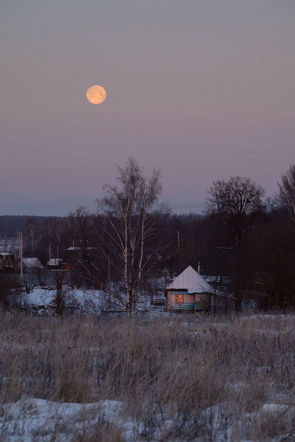 , Стрельцов Виталий