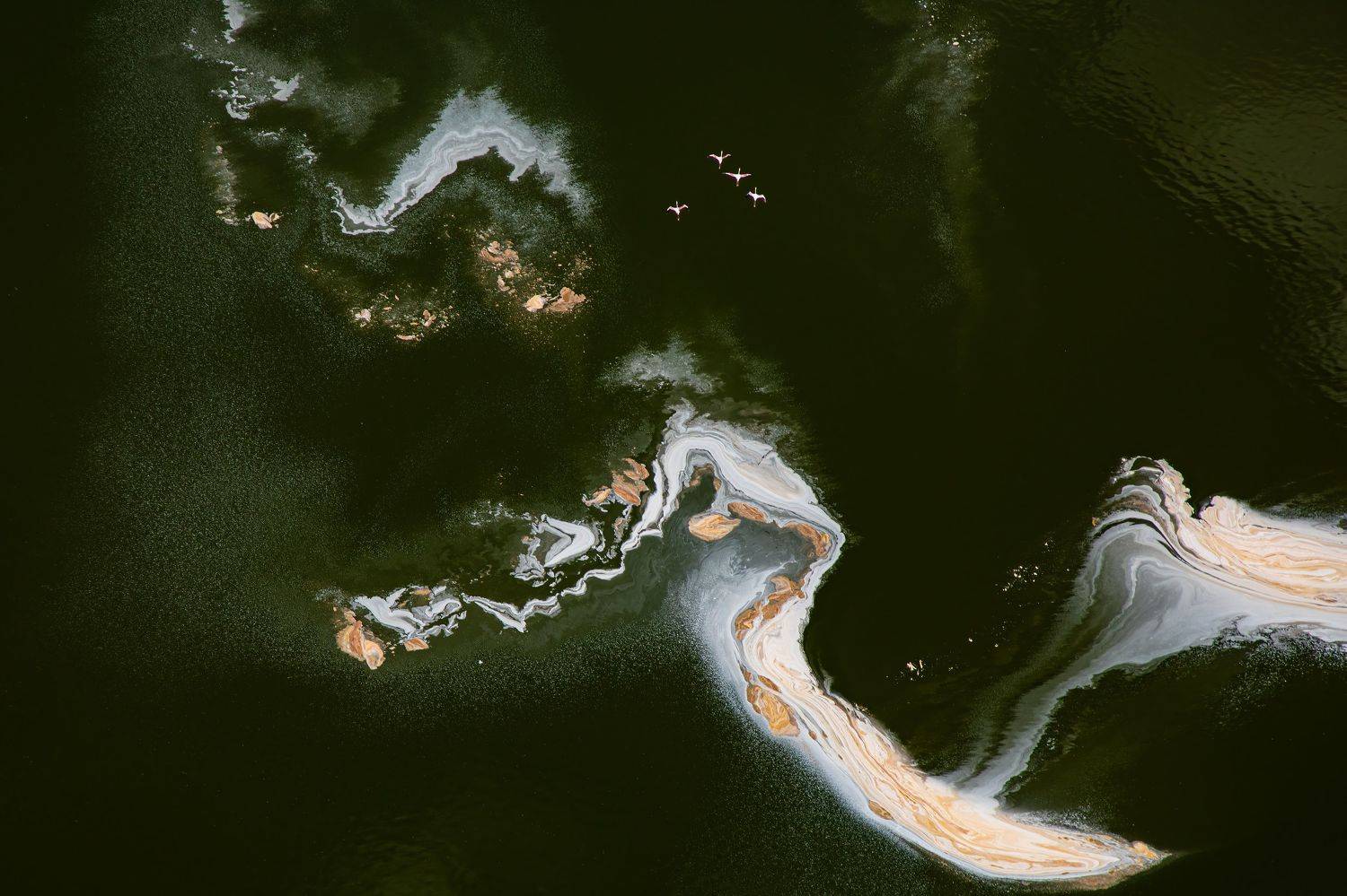 Aerial, Lake Magadi, Kenya, Flamingos, Subi Sridharan