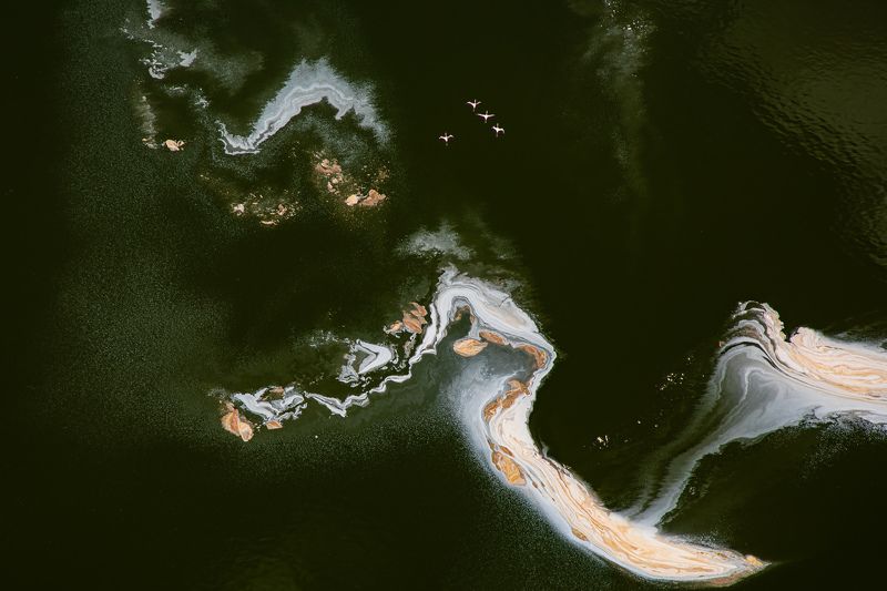 Aerial, Lake Magadi, Kenya, Flamingos Colours фото превью