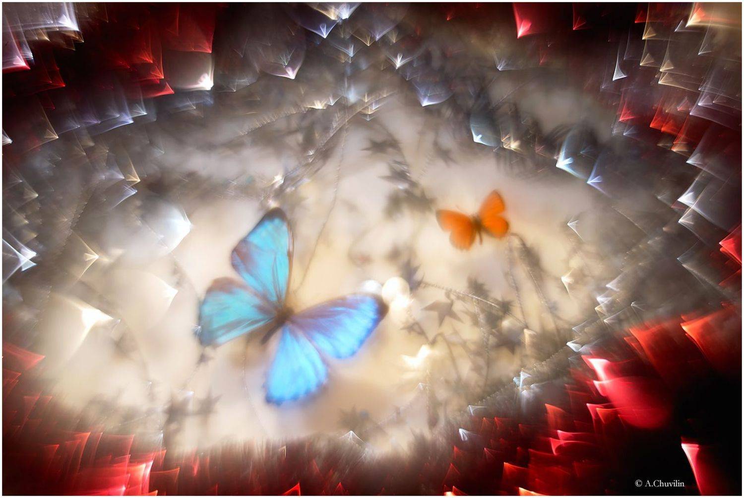 сон,январь,энтомолог, Александр Чувилин