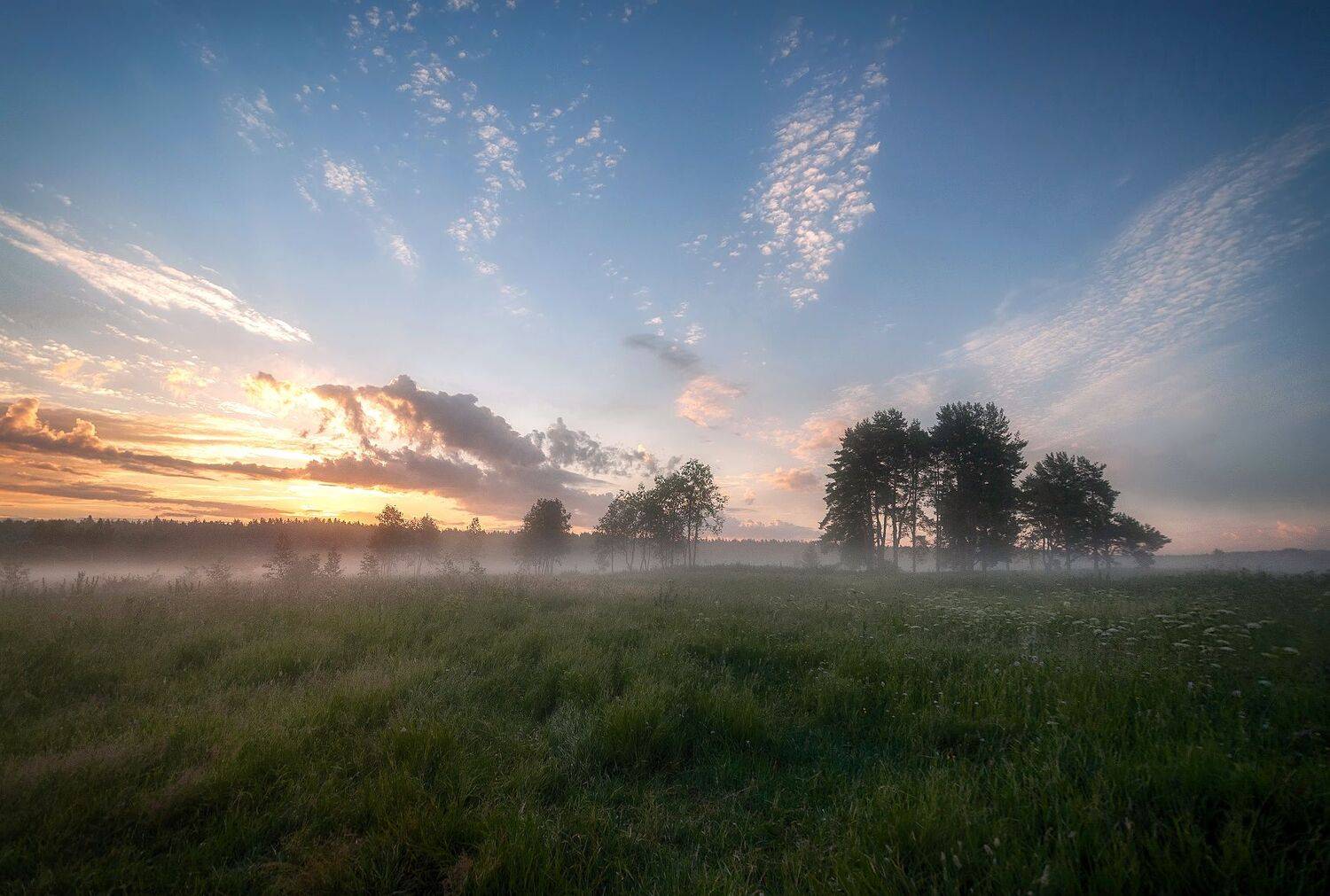 туман, рассвет, облака , лето, Сергей Аникин