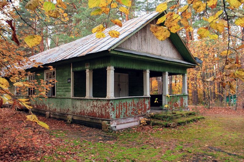 лес осень дом забвение  фото превью