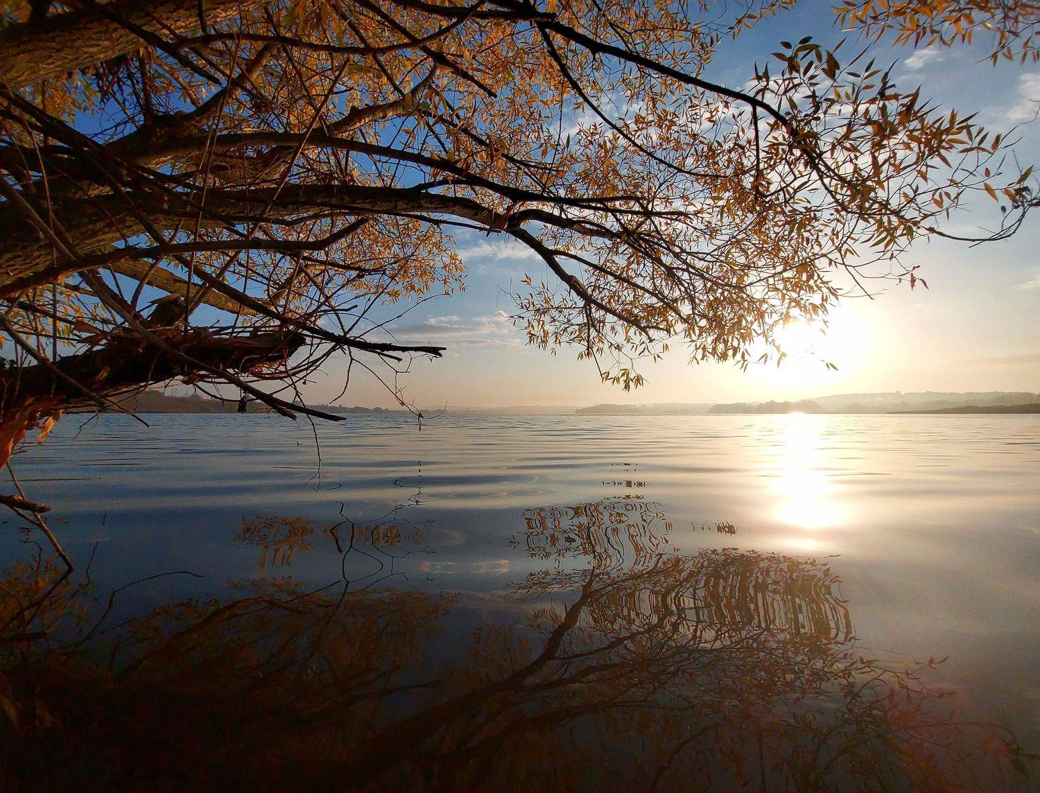 пруд, рассвет, утро, осень, листья, Валерий Савостьянов